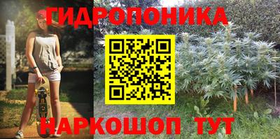 jwh Новодвинск