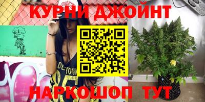 бошки Новозыбков