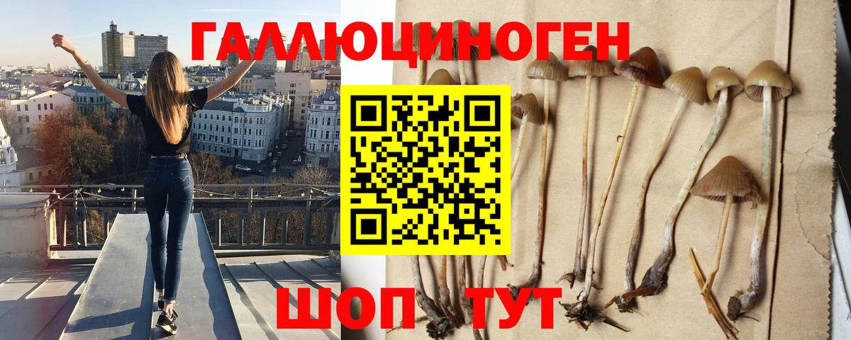 Галлюциногенные грибы мицелий Рыбинск